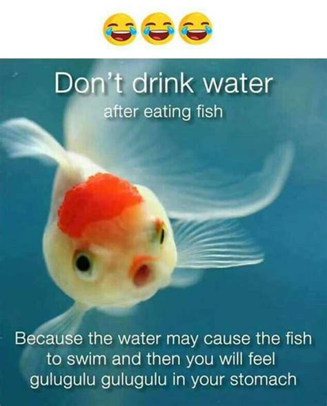 Pin By Sania Shaikh On Thoughts Pet Fish Fish Fishing Memes