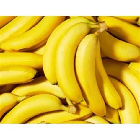 Fresh Banana At Rs 10kilogram Cavendish Bananas In Vadodara Id