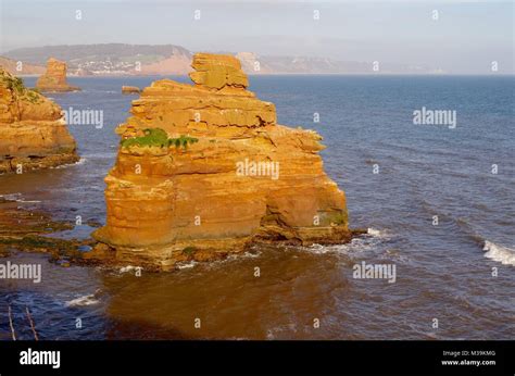 Ladram Bay Red Otter Sandstone Cliff And Seastacks East Devon