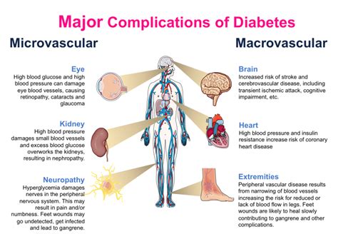 Pdb 101 Diabetes Mellitus Diabetes Mellitus Monitoring Complications