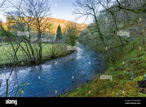 The River Barle From Burridge Woods Near Dulverton In The Exmoor