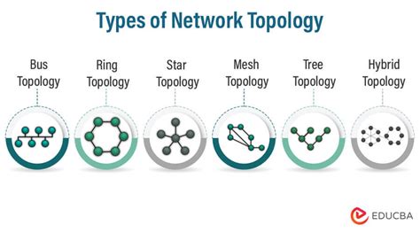 Network Topology Meaning And Type Of Topologies In Networking