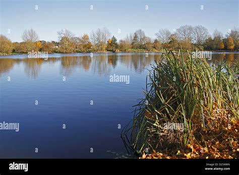 Needham Lake Suffolk Hi Res Stock Photography And Images Alamy