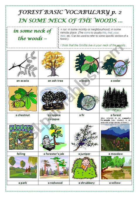 Forest Basic Vocabulary Part 2 A Pictionary Esl Worksheet By Alexcure