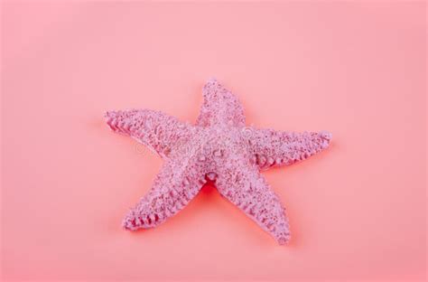 Pink Starfish Stock Photo Image Of Aqua Coastal Closeup 2975748