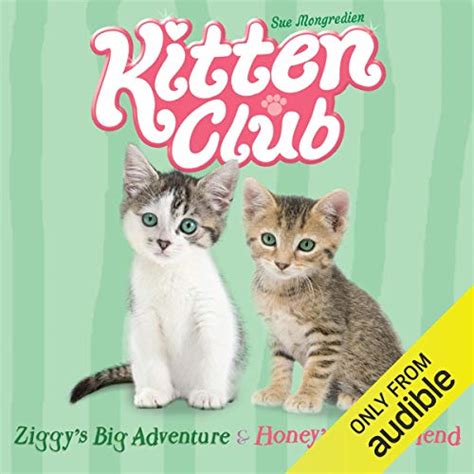 Kitten Club Ziggys Big Adventure And Honeys New Friend
