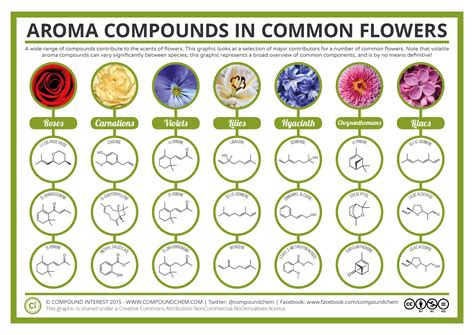 The Chemical Compounds Behind The Smell Of Common Flowers Teaching