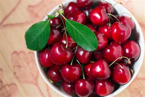 Ripe Sweet Red Cherries Stock Image Image Of Cherry 73492987