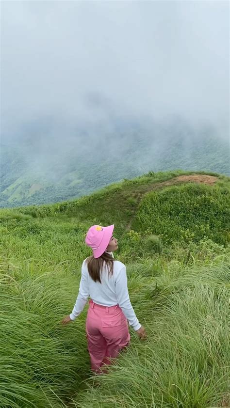 ชอบธรรมชาติแบบนี้ ภูเขา สายหมอก 😊 ️ Tripth ทริปไทยแลนด์