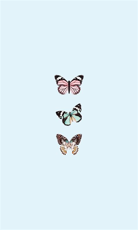 8 Blue Aesthetic Wallpaper Butterfly Background