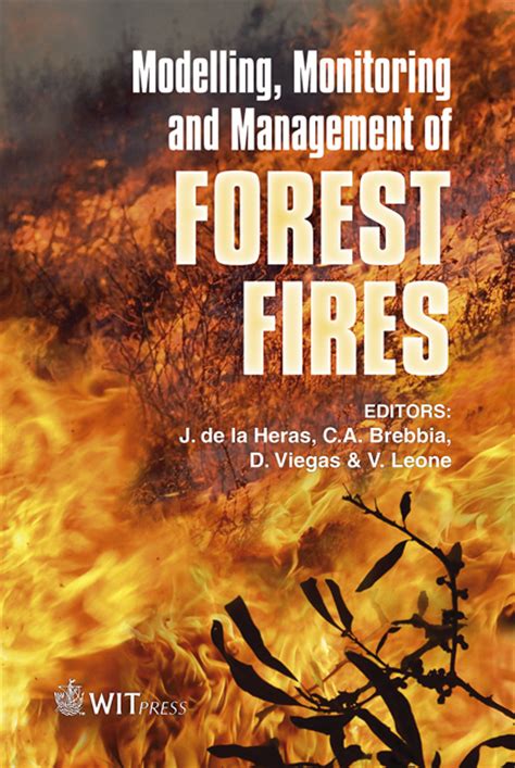 Modelling Monitoring And Management Of Forest Fires Ii