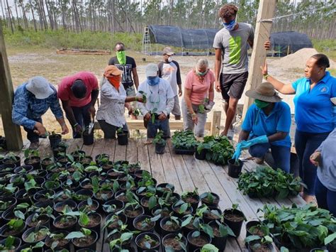 (gross expenditure on research and development). Restarting agriculture production in The Bahamas ...