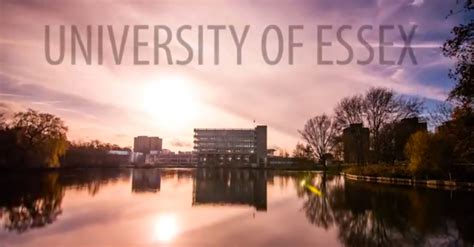 Delete Wins University Of Essex Digital Transformation Contract