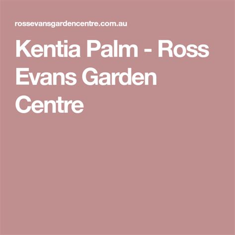 Kentia Palm Ross Evans Garden Centre Kentia Palm Garden Centre
