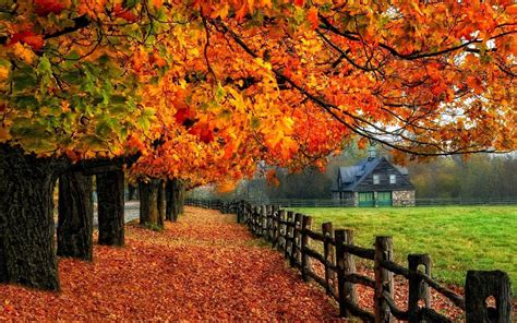 Autumn Fall Tree House Fenc Autumn Wallpaper Examples High Resolution Fall Background