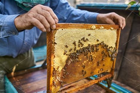 Process Of Harvesting Honey From Harvesting Honey Harvest Bee Hive