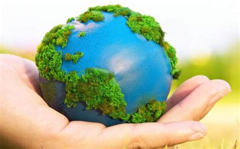Chile CelebrarÁ El DÍa De ProtecciÓn Del Medio Ambiente El PrÓximo 1
