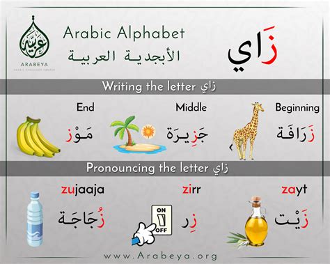 Pin On Arabic Alphabet