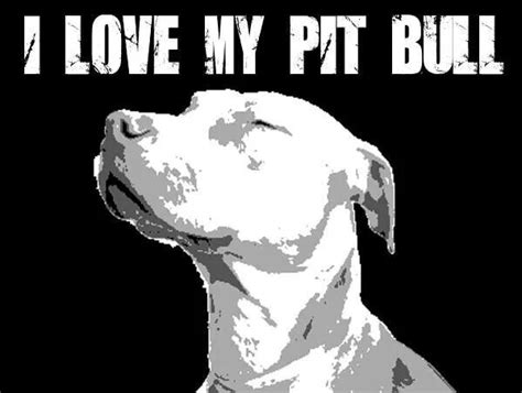 ♥♥♥ Perros Bull Terrier Bull Terrier Dog American Pitbull Terrier