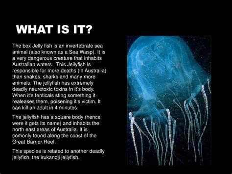 Ppt The Box Jellyfish Powerpoint Presentation Free Download Id