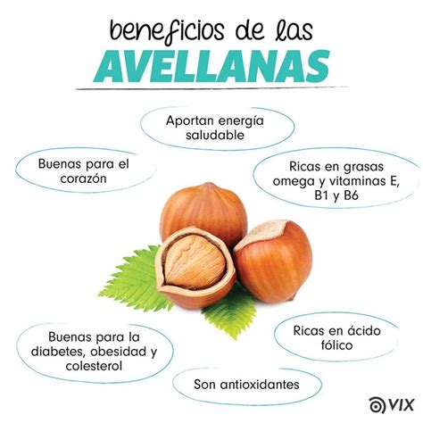 Beneficios De La Avellanas Honey Health Benefits Lemon Health Benefits Coconut Health Benefits