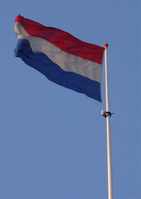graafix wallpapers flag of netherlands