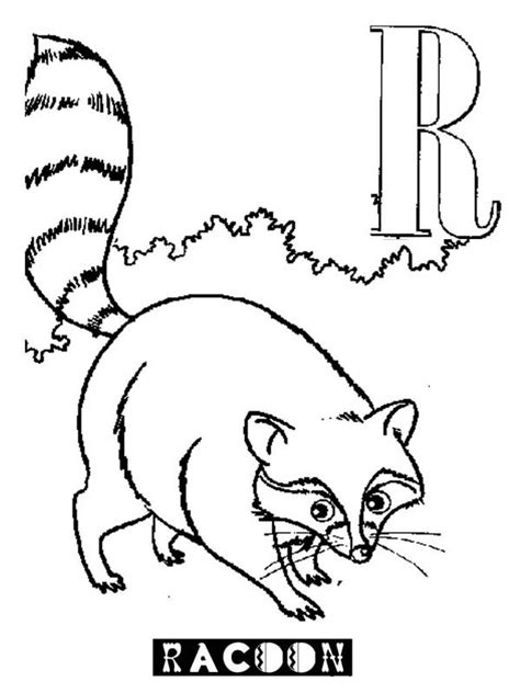 Alphabet R Is For Raccoon Coloring Page Coloring Pages Coloring