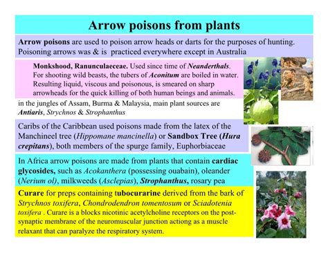 Arrow Poisons From Plants Arrow Poisons Are Used To Poison Arrow Heads