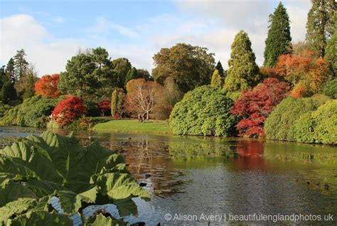 Indeed it is the favorite haunt of every city dweller. Middle Lake, Sheffield Park Garden - Beautiful England Photos