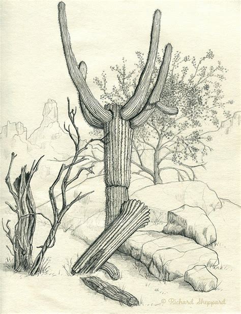 Arizona Desert North Scottsdale Artist Sketch Book Arizona
