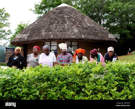 Limpopo South Africa October 13 Tribe Members Watch As Preparations