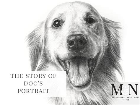 Pencil Pet Portrait Of Doc Melanie And Nicholas Pet Portraits