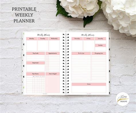 Undated Weekly Planner Printable Blush Planner Homework Etsy
