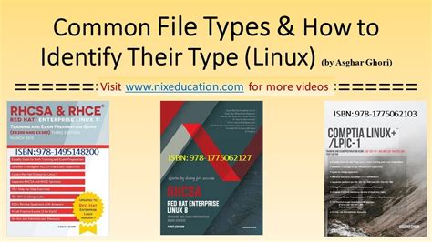 Common Linux File Types And How To Identify Their Type Youtube