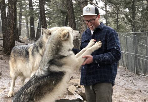 Are Dogs Allowed At Colorado Wolf And Wildlife Center