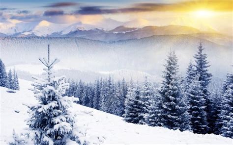Free Download Desktop Backgrounds 4u Winter Scenes 1600x900 For Your