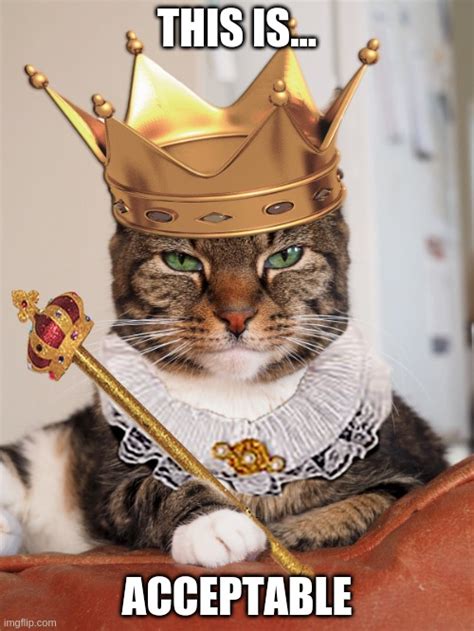 Royal Cat Imgflip