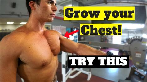 3 Exercises How To Build A Bigger Chest Get Rid Of Man Boobs Youtube