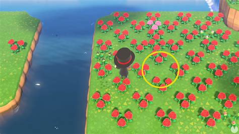 Rosas Doradas En Animal Crossing New Horizons ¿cómo Se Consiguen
