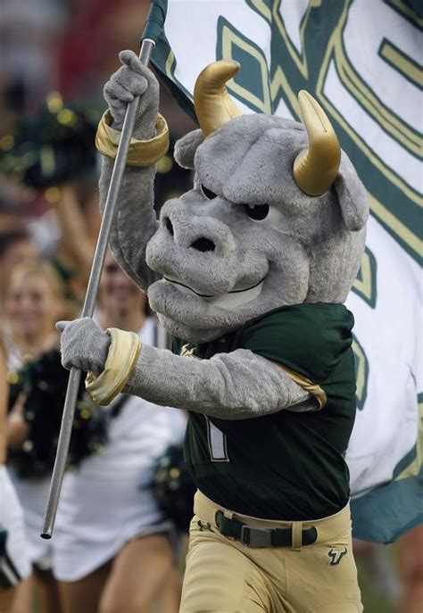 University Of South Florida Bulls Mascot Rocky The Bull Leads Team On