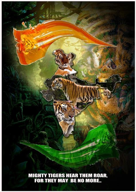 🎉 How To Make A Poster On Save Tiger 10 Ways To Save Tigers 2019 01 12