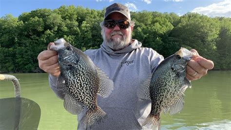 How To Fish For Black Crappie Rambling Angler Outdoors