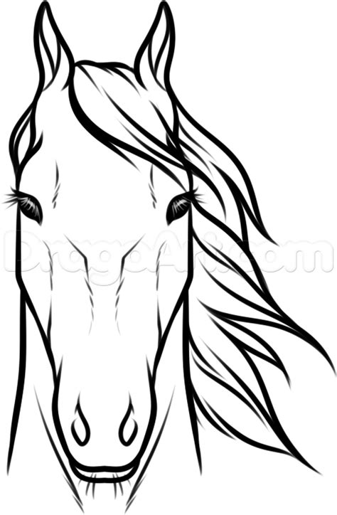 Horse Head Drawing Outline At Explore Collection