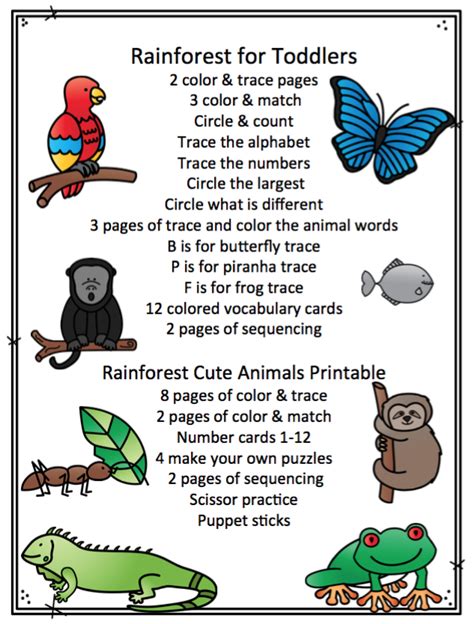 Rainforest Worksheets For Preschoolers