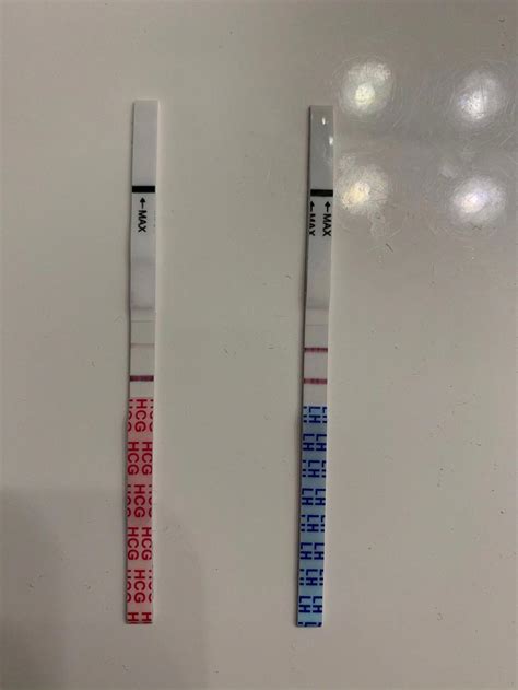 Understanding A Faint Positive Ovulation Test While Pregnant