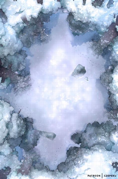 Snowy Winter Forest 27x41 Battlemaps Fantasy Map Dungeon Maps