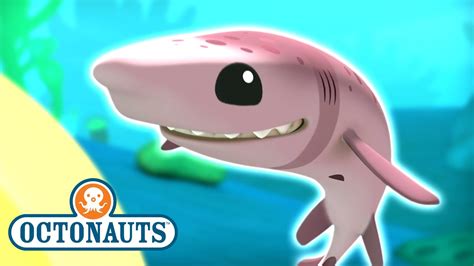 Octonauts The Cookiecutter Sharks Full Episode 39