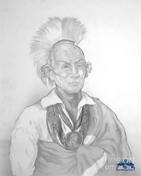 Chief Black Hawk Of The Sauk And Fox Tribe Drawing By Anthony Franklin