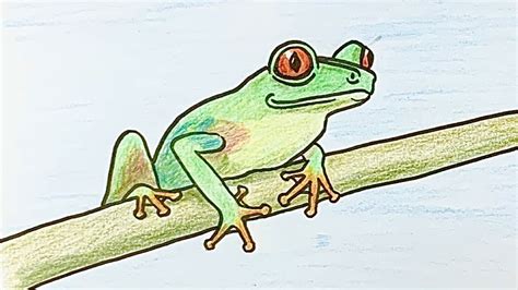 How To Draw A Green Tree Frog Step By Step Youtube