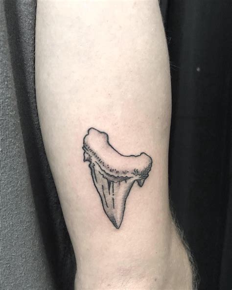 This Is Only The 6th Tattoo Ive Done Im An Apprentice Shark Tooth